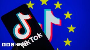 TikTok EU Hate Speech Transparency Report Highlights
